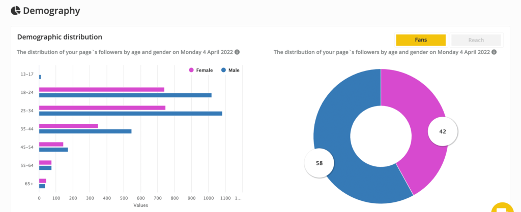 SocialBee Analytics Demography